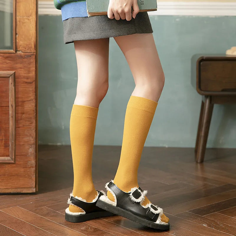 Women’s Thigh High Socks – Cotton Blend Warm Long Stockings