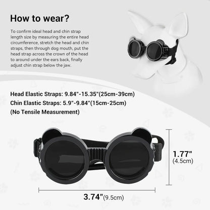 Dog Goggles