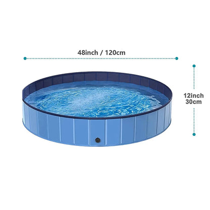 Dog Swimming Pool