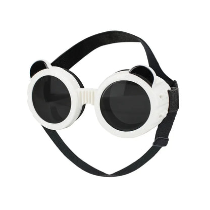 Dog Goggles