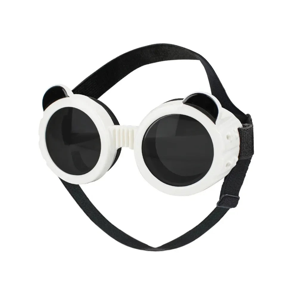 Dog Goggles