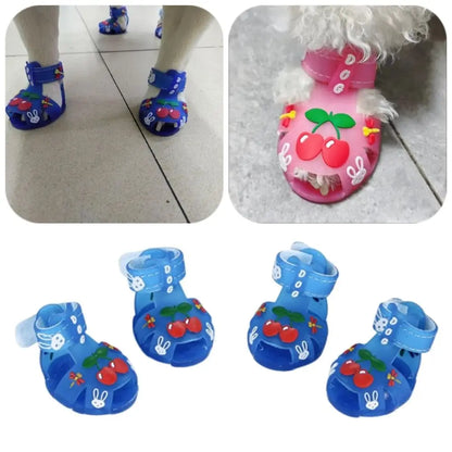 Dog Shoes