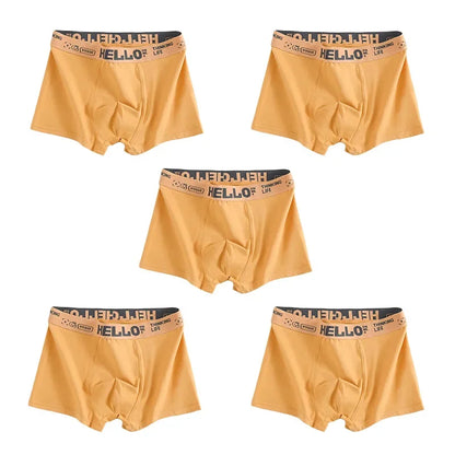 Men’s Boxer Briefs – Breathable Quick-Dry Stretch Underwear