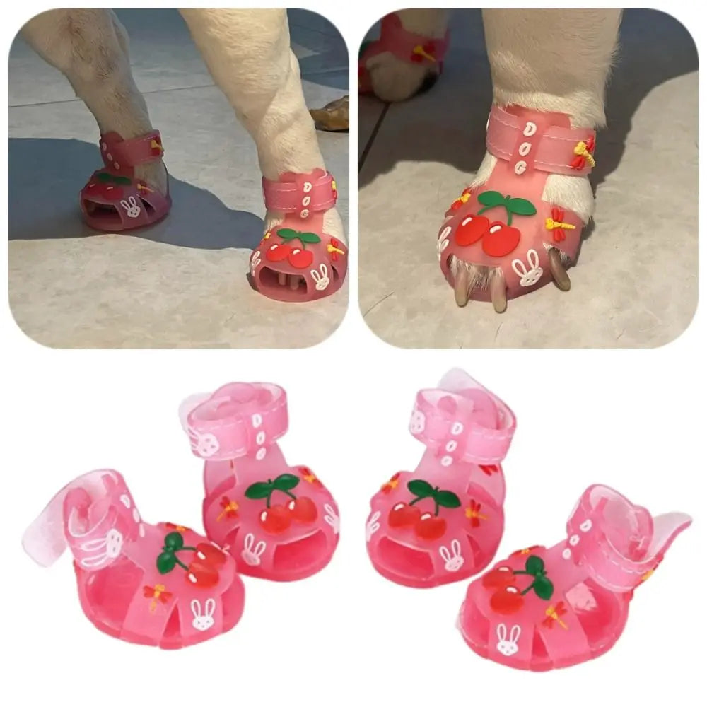 Dog Shoes