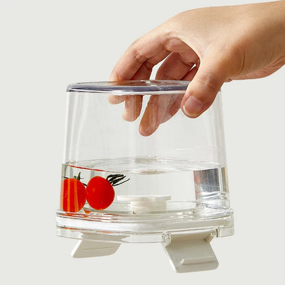 Airtight Coffee Storage Container