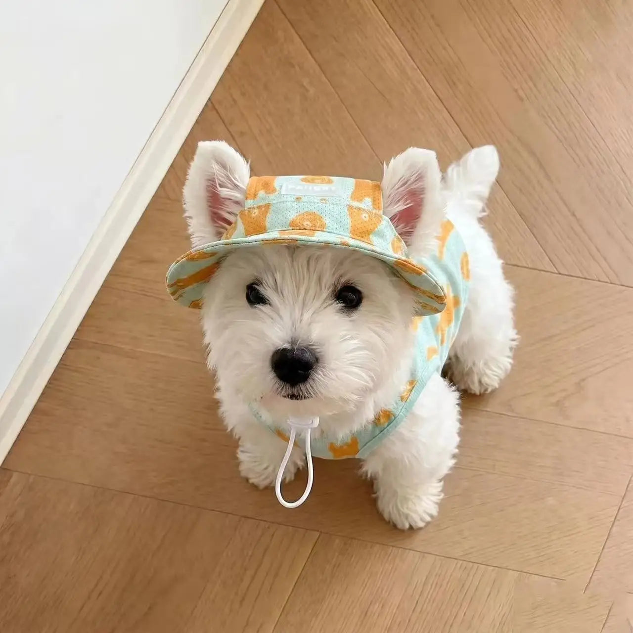2Pcs Dog Cooling Clothes Set – Breathable Summer Vest & Sun Hat