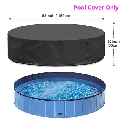 Dog Swimming Pool