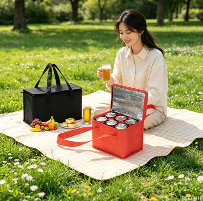 Insulated Lunch Bag