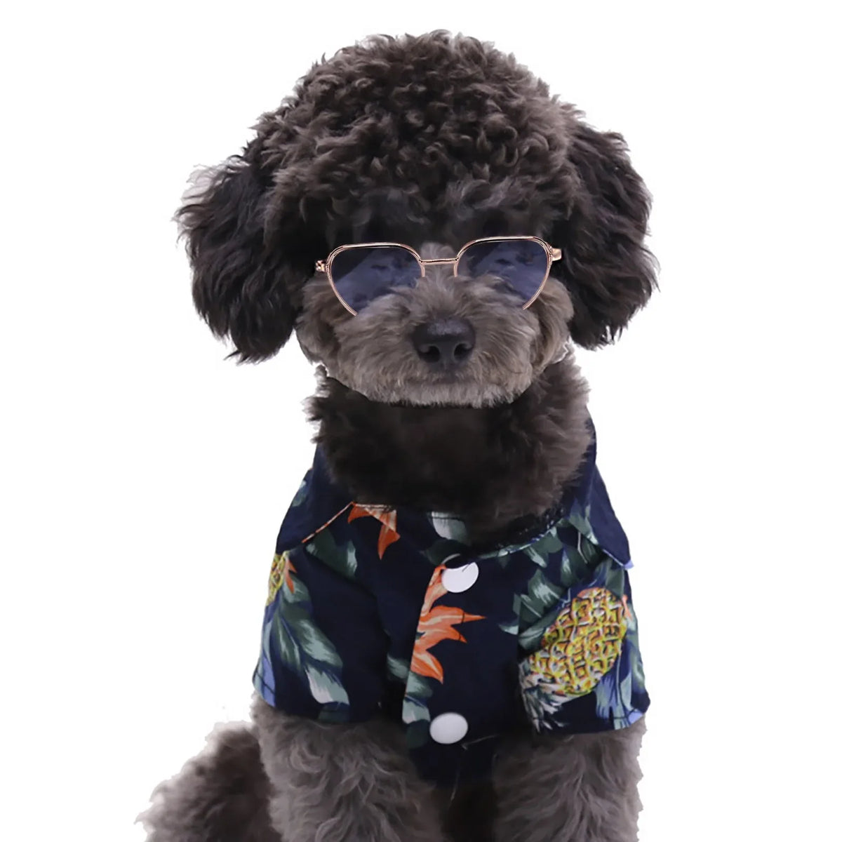 Dog Sunglasses