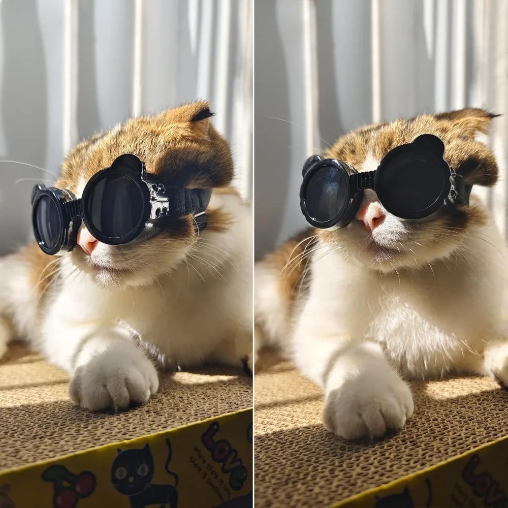 Dog Goggles