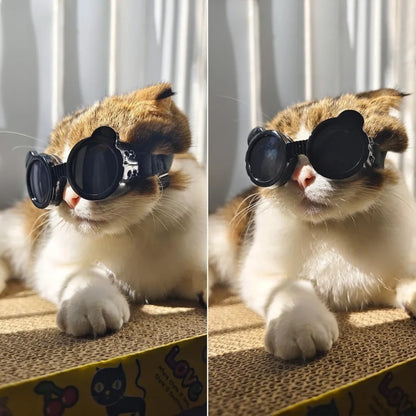Dog Goggles