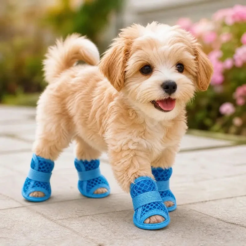 Dog Shoes