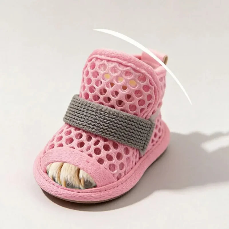 Dog Shoes