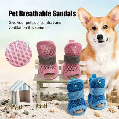 Dog Shoes