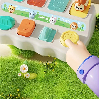 Montessori Pop Up Toy – Animal Learning Box for Kids