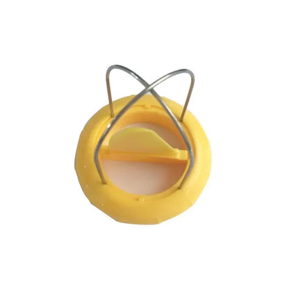 Kiwi Fruit Peeler & Slicer Stainless Steel Cutter Kitchen Tool