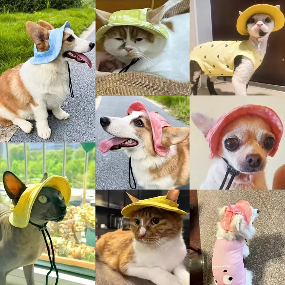 Dog Baseball Cap