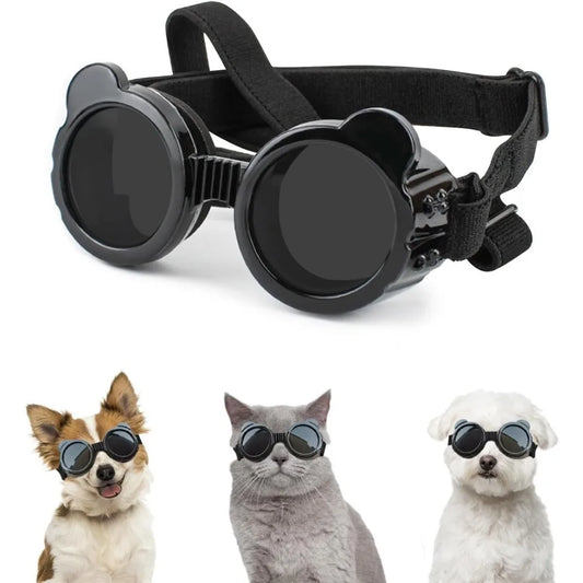 Dog Goggles