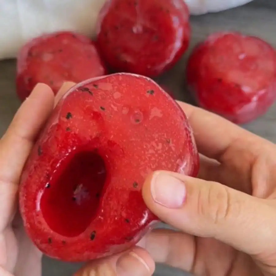 Watermelon Squishy Toy