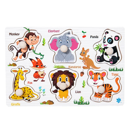 Wooden Shape Matching Toy for Kids
