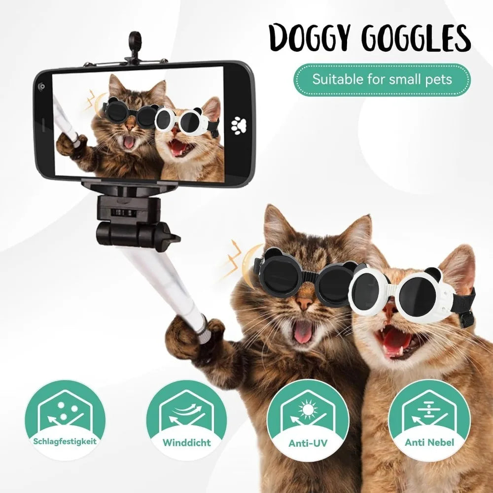 Dog Goggles