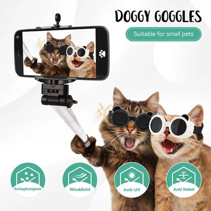 Dog Goggles