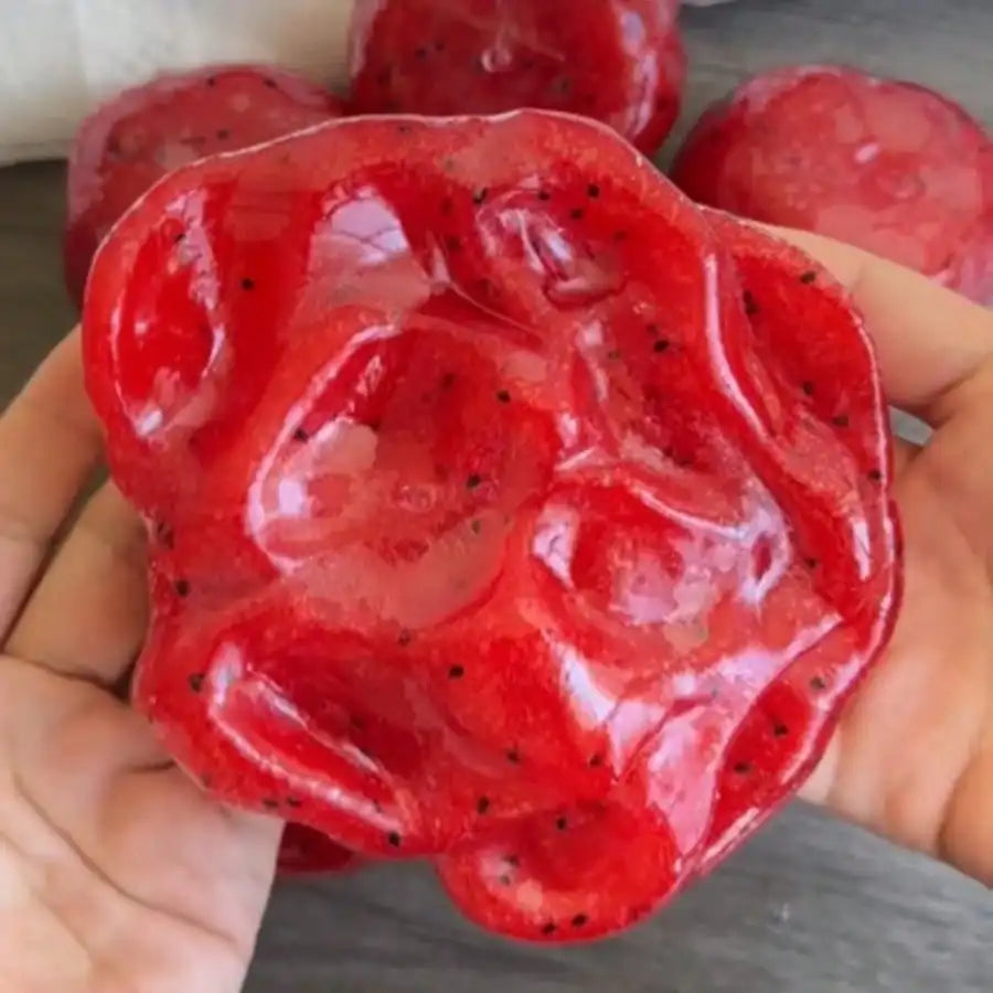 Watermelon Squishy Toy