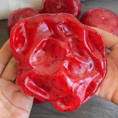 Watermelon Squishy Toy