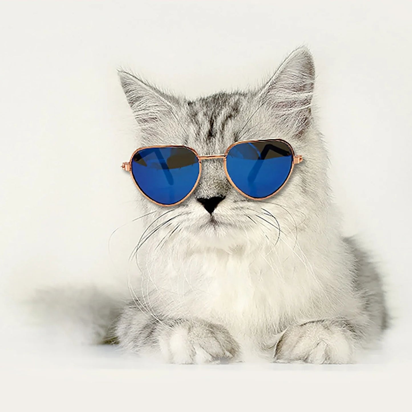 Dog Sunglasses