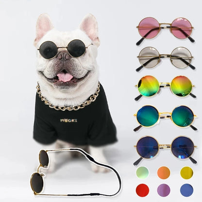 Cat Sunglasses