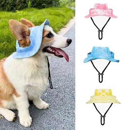 Dog Baseball Cap