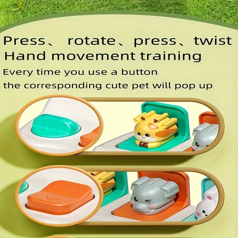 Montessori Pop Up Toy – Animal Learning Box for Kids
