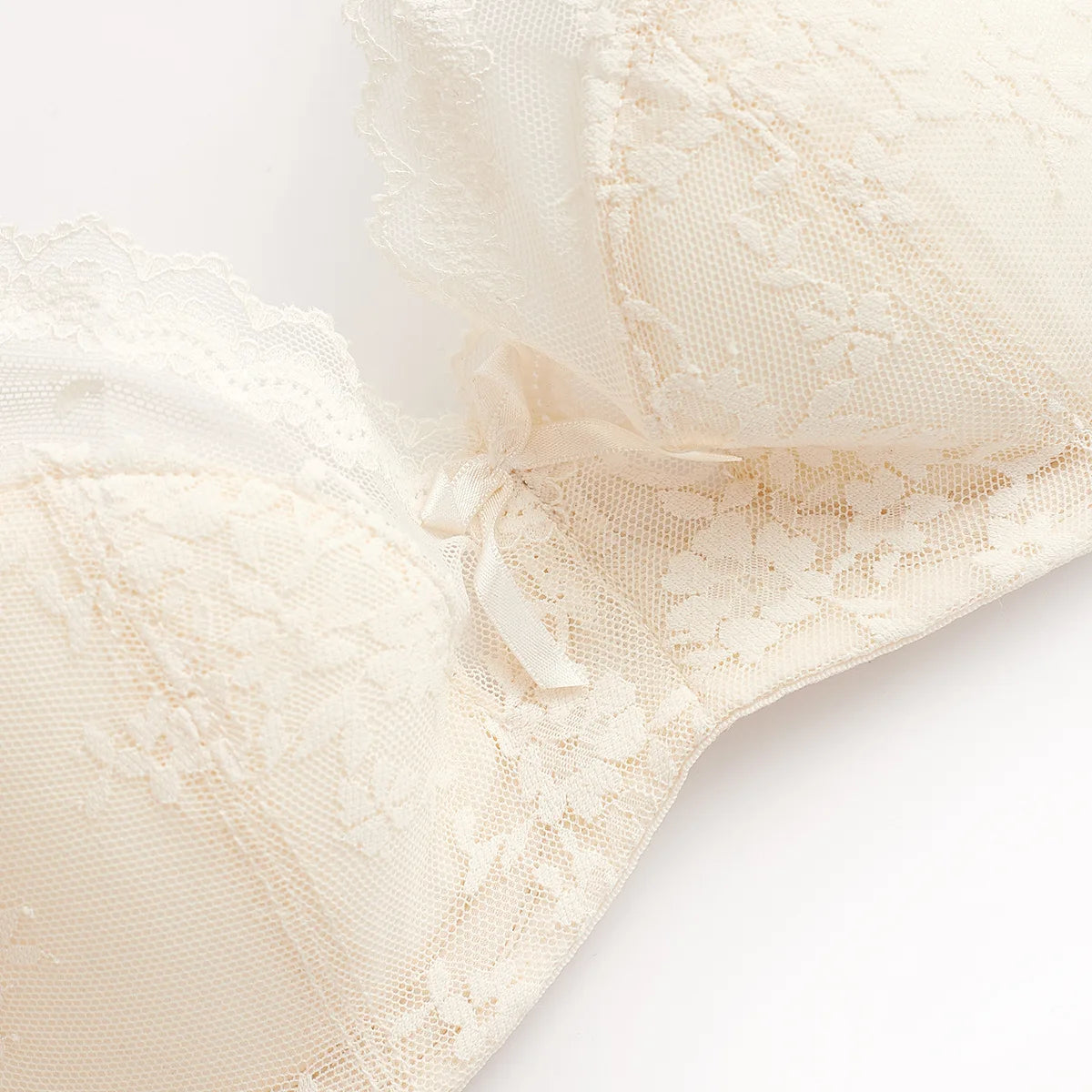 Women’s Lace Lingerie Set – Embroidered Bra & Briefs