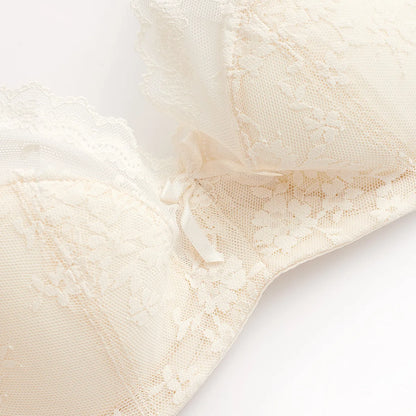 Women’s Lace Lingerie Set – Embroidered Bra & Briefs