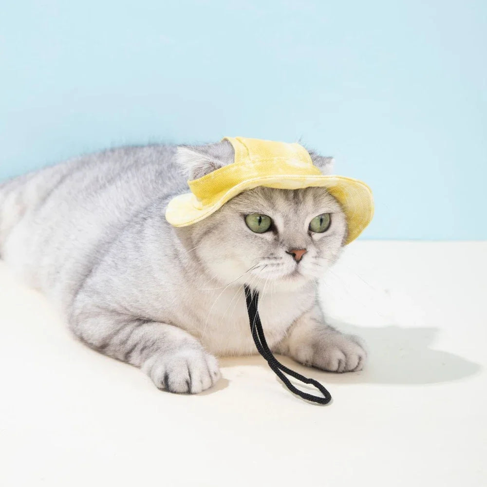 Dog Baseball Cap